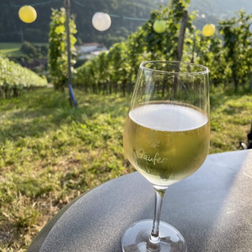 Hohenloher Wein – Entdecke meine Region im Glas